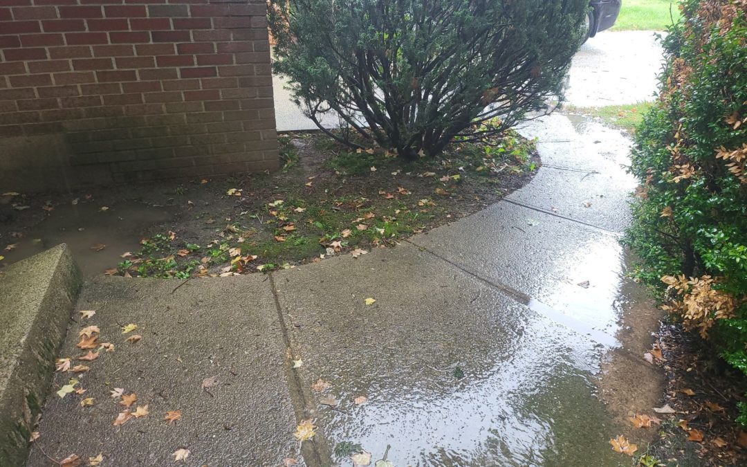 How Freeze–Thaw Cycles Impact Concrete in Ohio (And What You Can Do About It)